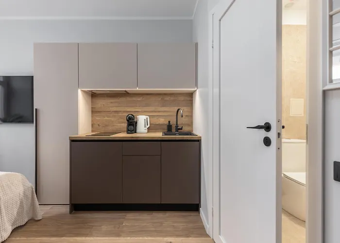 Apartment Neat And Simple Old Town